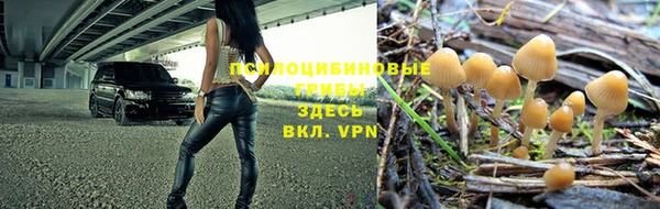 2c-b Армянск