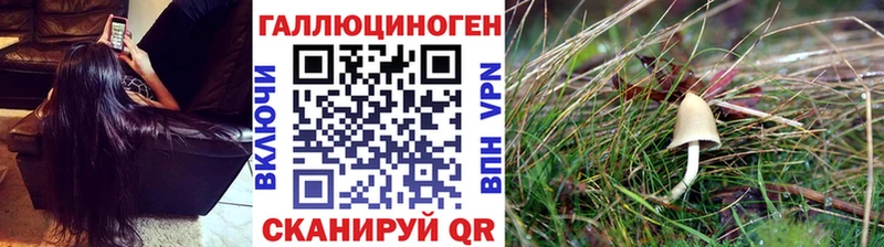 Галлюциногенные грибы прущие грибы  сайты даркнета какой сайт  Бийск 